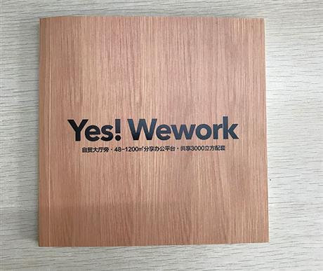 公司畫冊